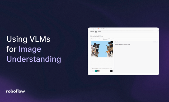 How to Use Vision-Language Models for Image Understanding