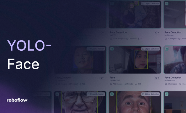 Use YOLO-Face on Robflow