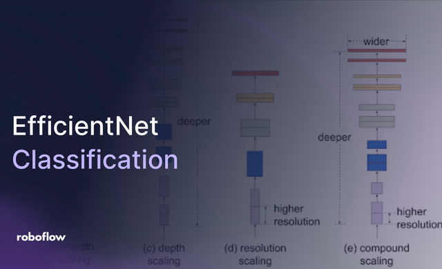 How to Train an EfficientNet Model with a Custom Dataset