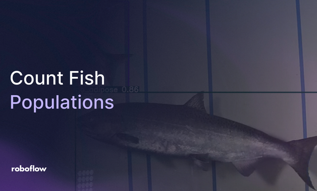 Using Computer Vision to Count Fish Populations (and Monitor Environmental Health)