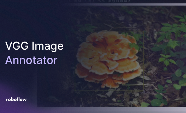 Getting Started with VGG Image Annotator for Object Detection Tutorial with Roboflow Vision AI