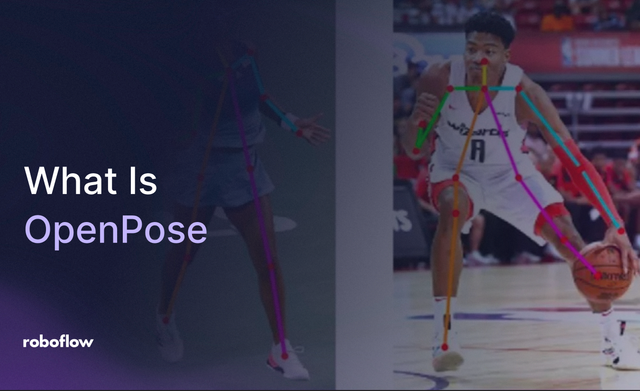 OpenPose Model on Roboflow Vision AI