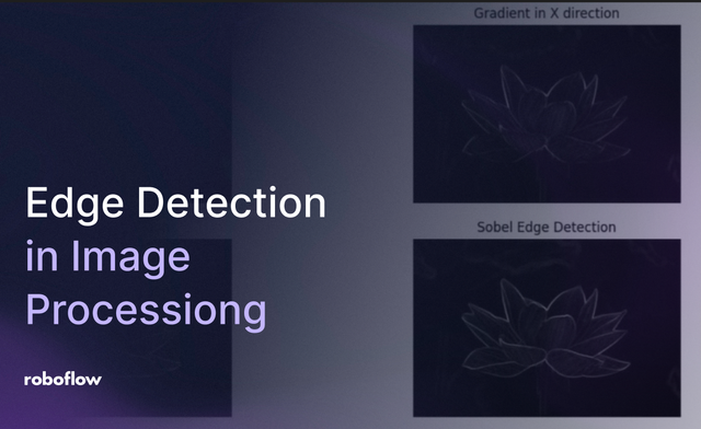 Edge Detection in Image Processing on Roboflow Vision AI