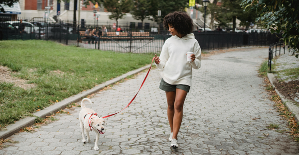 A happy young woman carrying a coffee walks her dog in a city park.