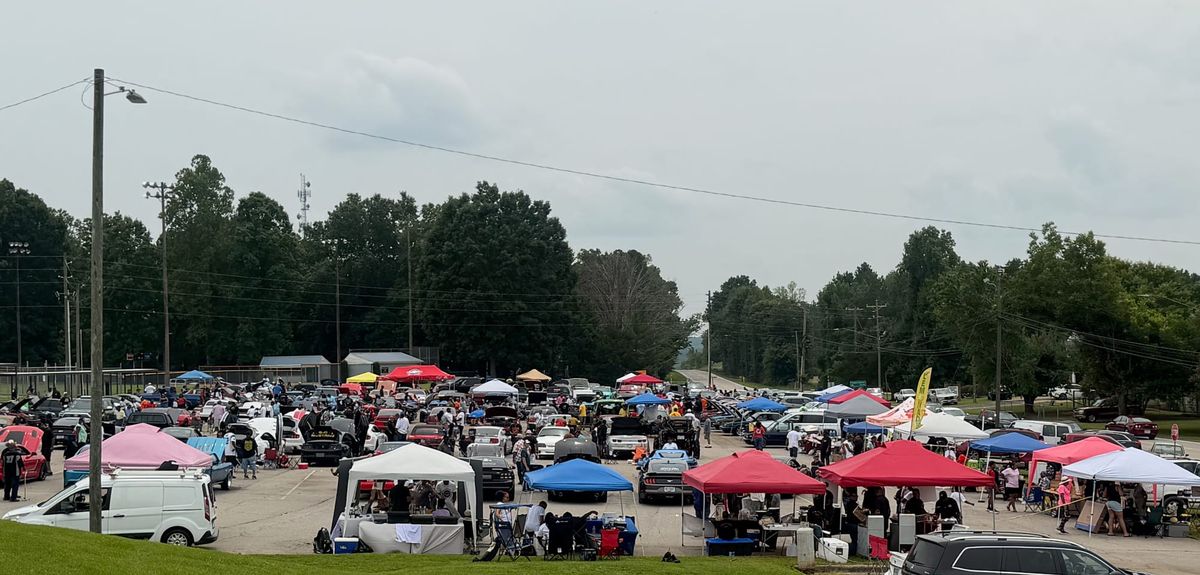 Local Mustang Club's Love of Cars and Community Shows