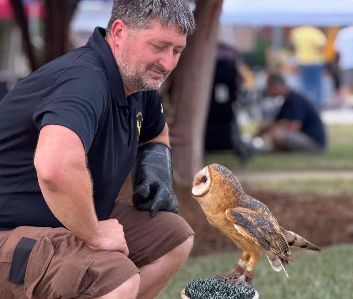 Local Falconry Academy Trains and Breeds Winged Hunters