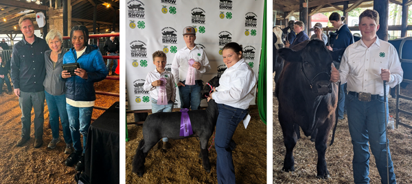 Victory in the Ring - Caswell 4-Hers Shine at Livestock Sale