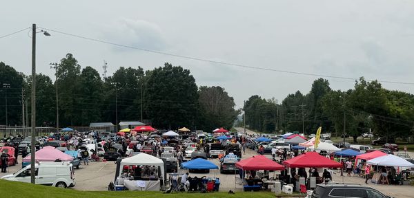 Local Mustang Club's Love of Cars and Community Shows