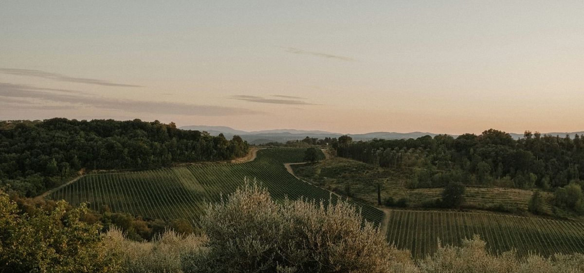 Backfile Check—'Degrow' The Aff Win Percentage