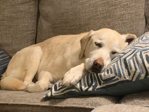 Revenge of the Takes