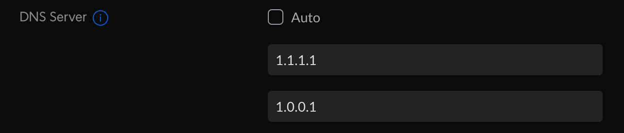 screenshot of setting manual DNS server on your router
