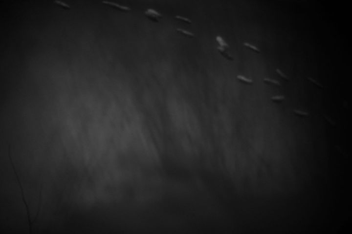 abstract image of footsteps in the snow at night