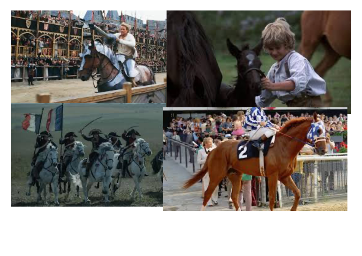 Practicals With Horses In Film