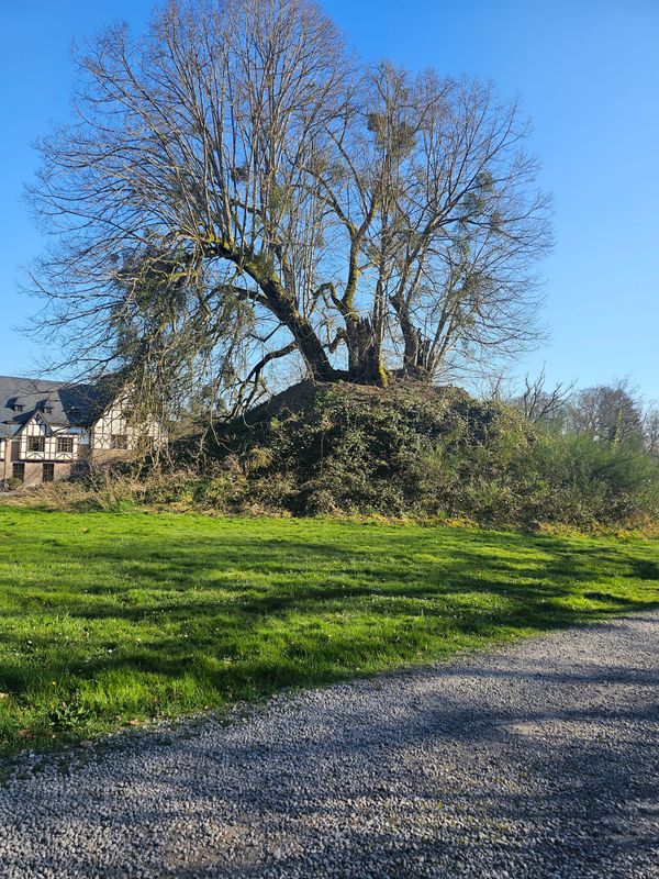 Only The Brave Find Hope..