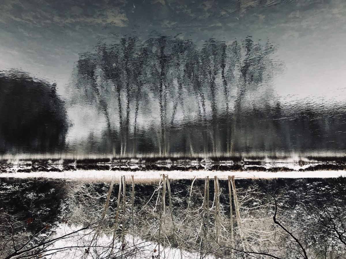 the capacity to be alone