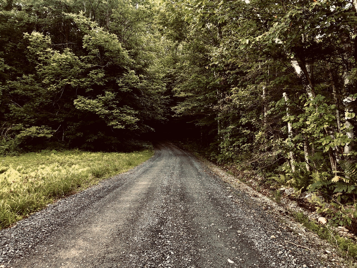 Where the monsters come out