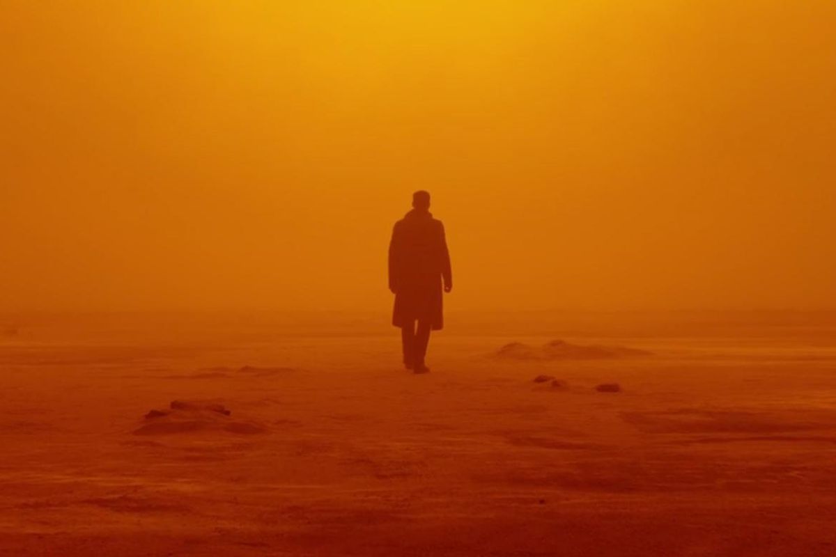Amazon has scooped up Ridley Scott's live-action Blade Runner series
