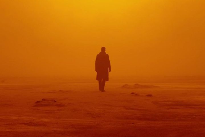 Amazon has scooped up Ridley Scott's live-action Blade Runner series