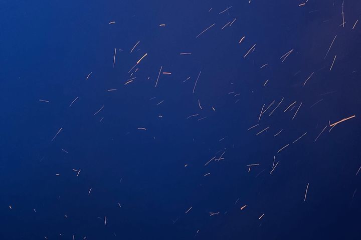 Embers
