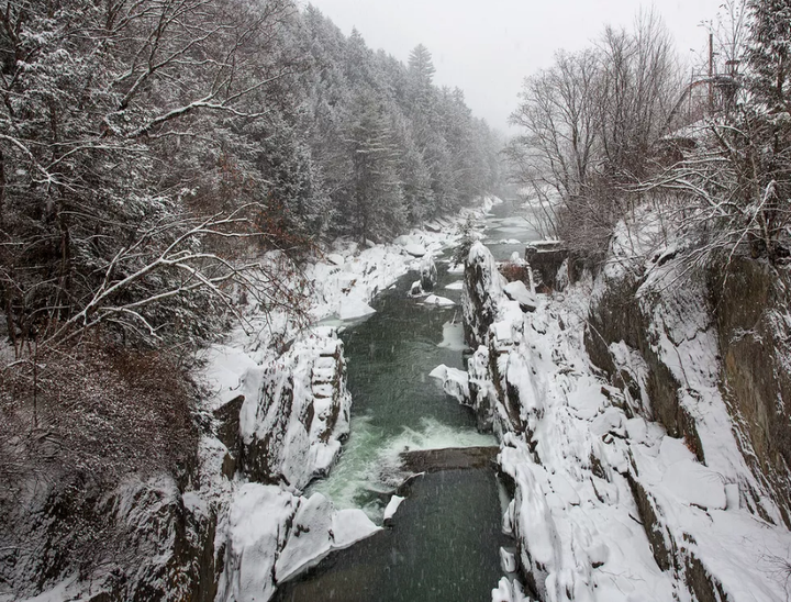 Front Porch Forum feature