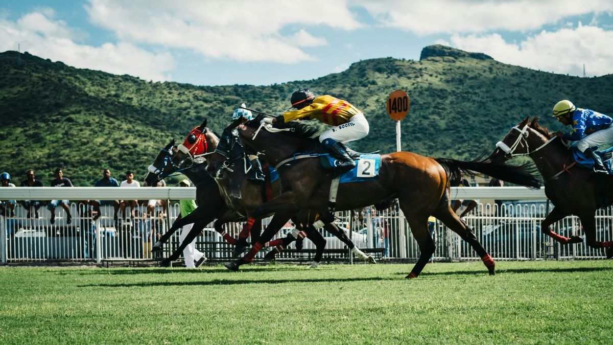 Race Previews