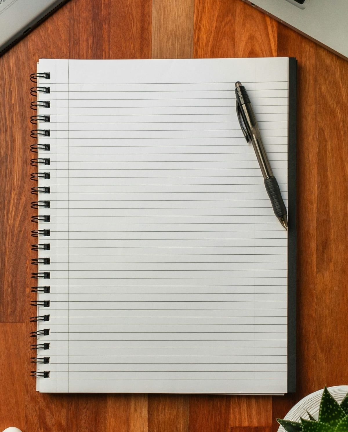 Notebook Horse  – 6/7/26 -  Misunderstood