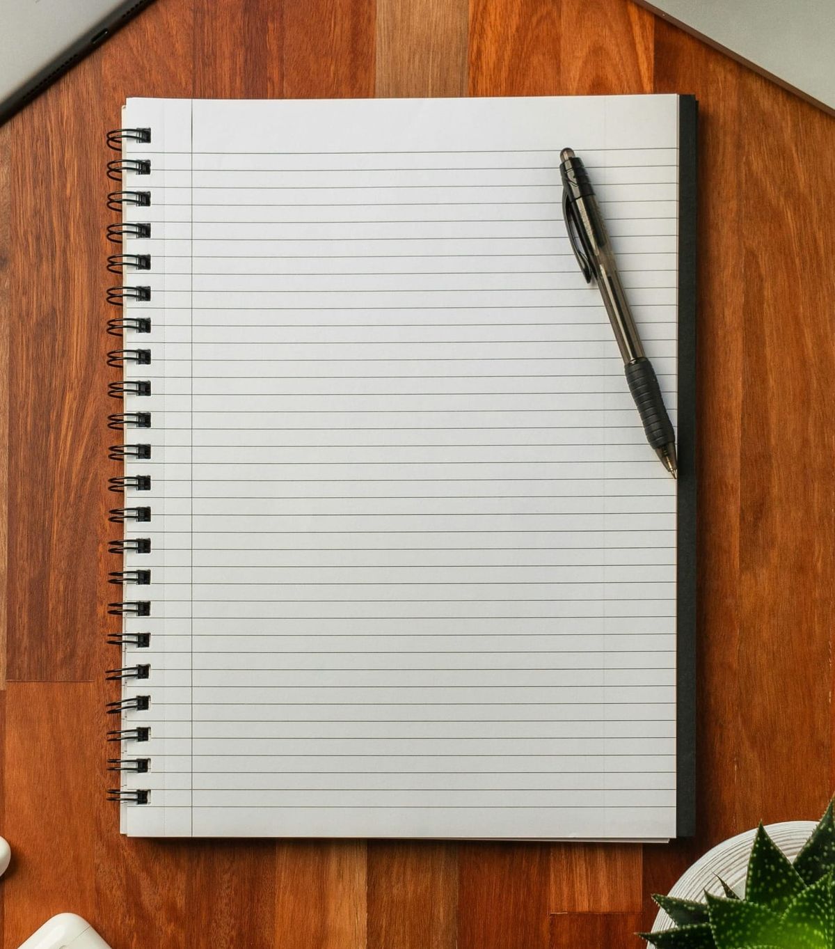 Notebook Horse: 08/07/26 Calico Blue