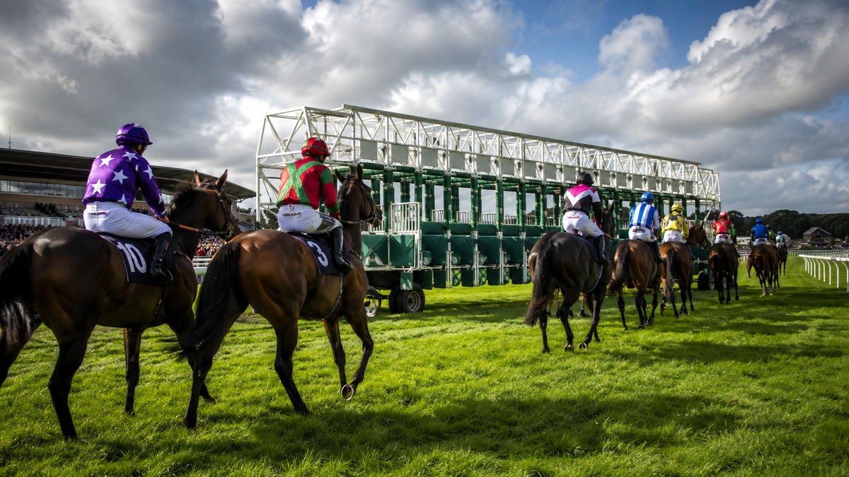 York Day Three: Rayevka Offers Nunthorpe Value as Mount Atlas, Silver Lake & Tiernan Head Our Bets