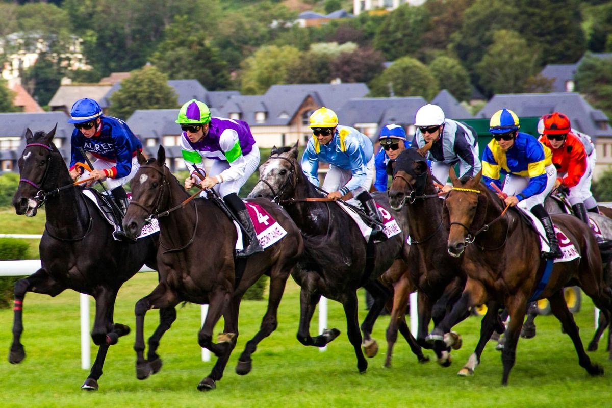Three Top-Rated, Three Passes: No bets again today.
