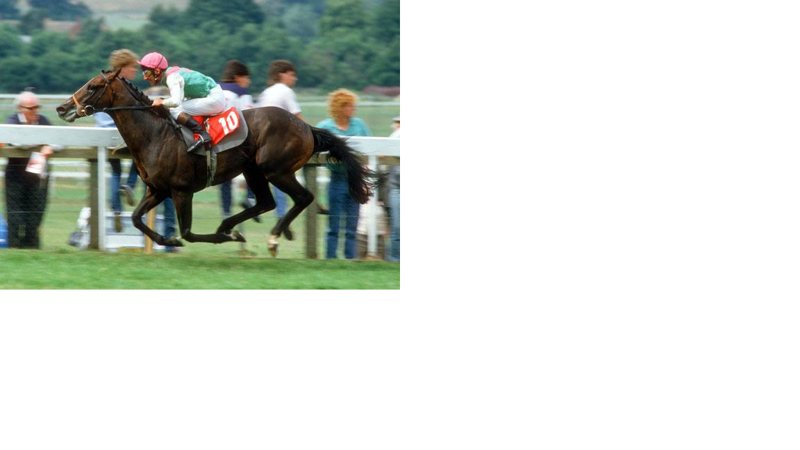 Youtube Great Races Archive - Our Personal Favourites.