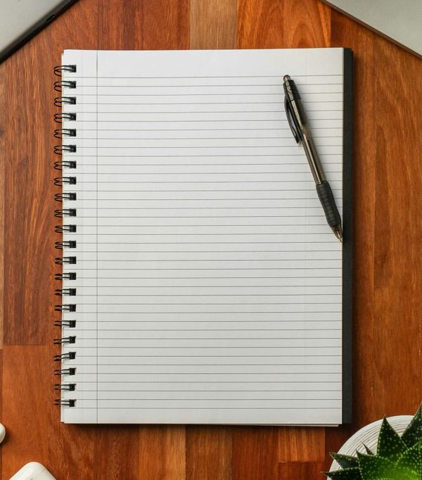 Notebook Horse: 08/07/26 Calico Blue