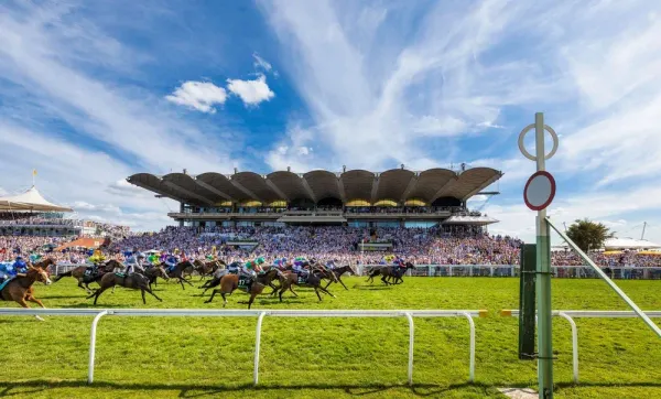 Goodwood Notebook