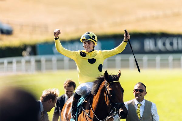 Bow Echo Bows Out Unbeaten – Racing Loses One of Its Brightest Young Stars
