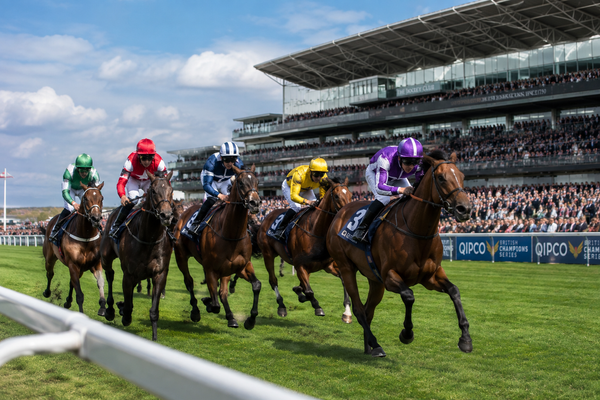 Just One Bet Today Continuing a quiet week