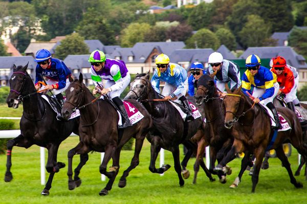 Three Top-Rated, Three Passes: No bets again today.