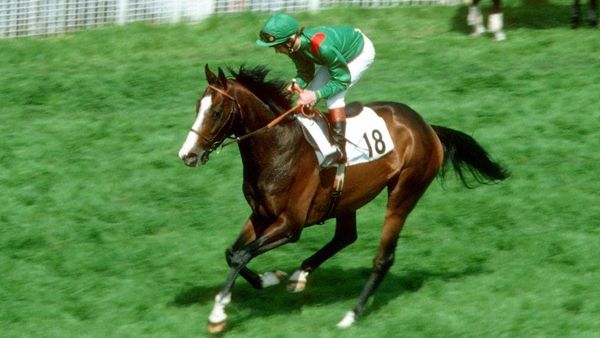 Shergar Cup Saturday