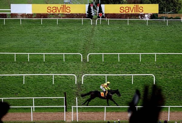 Galopin Des Champs – Farewell to a True Champion