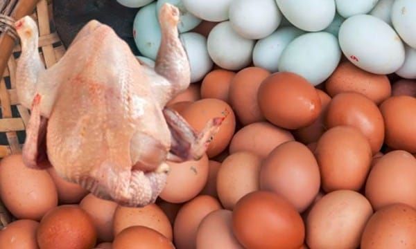 புத்தாண்டு காலத்தில் தட்டுப்பாடின்றி கோழி இறைச்சியை விநியோகிக்க நடவடிக்கை!
