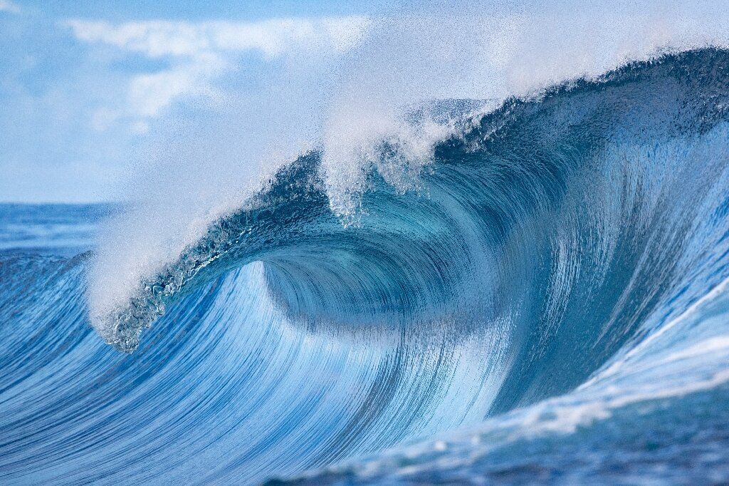 Saving the world's oceans one startup at a time