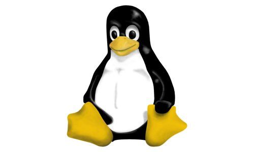The One Issue That Stands in the Way of Mass-Marketed Linux