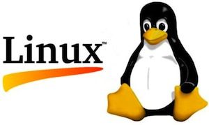 Why Linux Distributions Will Never Be Mainstream