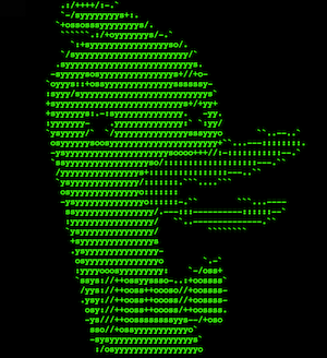 DuckDuckGo Search Engine Terminal Emulator Is A Geek's Dream