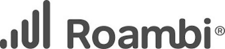 Roambi Makes Data Sexy So You Can Be A Boss