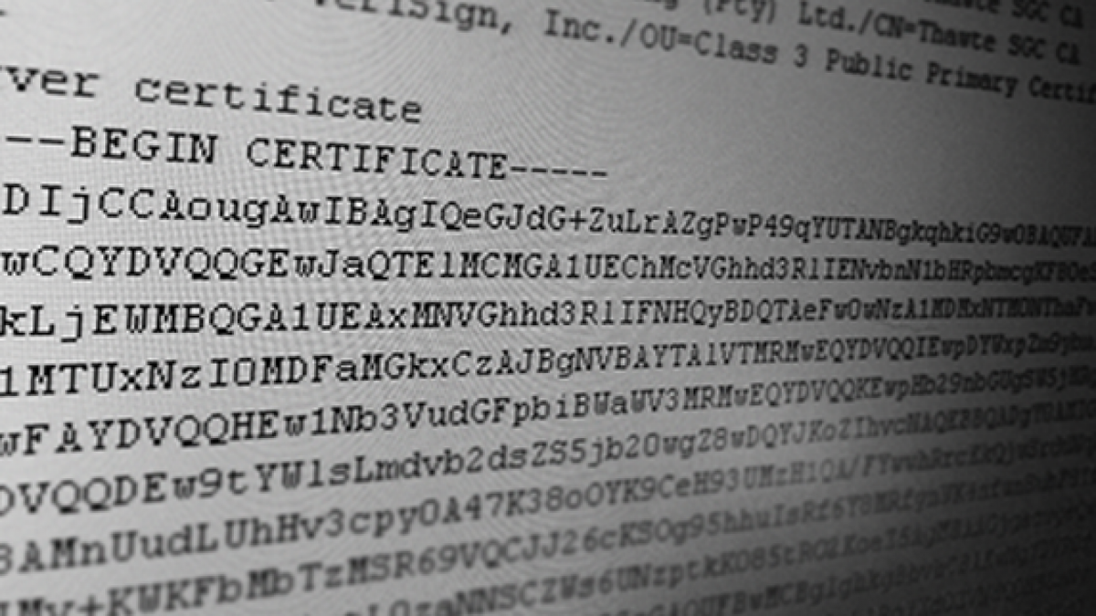 Google, Facebook and Microsoft Investing Big to Stop the Next Heartbleed Bug