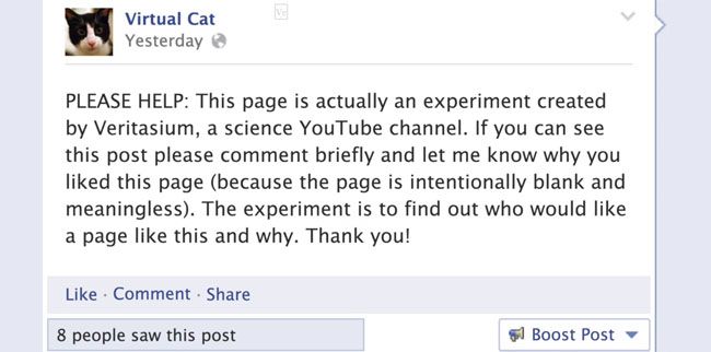 Does Facebook’s “Promote Your Page” Rely on Fake Likes and Click-Farms?