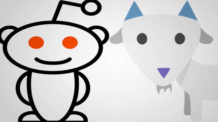 Reddit Alternative, Voat, Has Caught Up to Reddit In Terms of Search Interest
