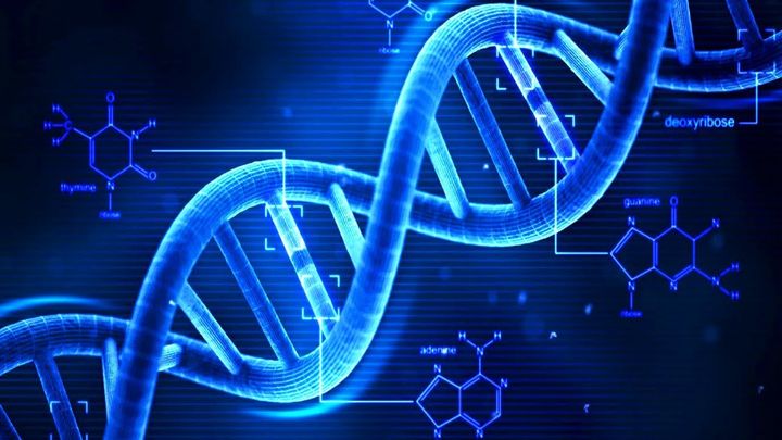 Should you freely give up your DNA to 23andMe, Ancestry, and other genealogy services?