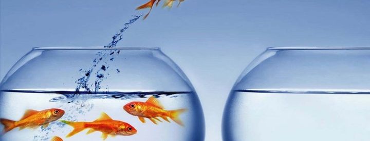 How traditional companies can compete with agile startups (feat. Terry Jones)