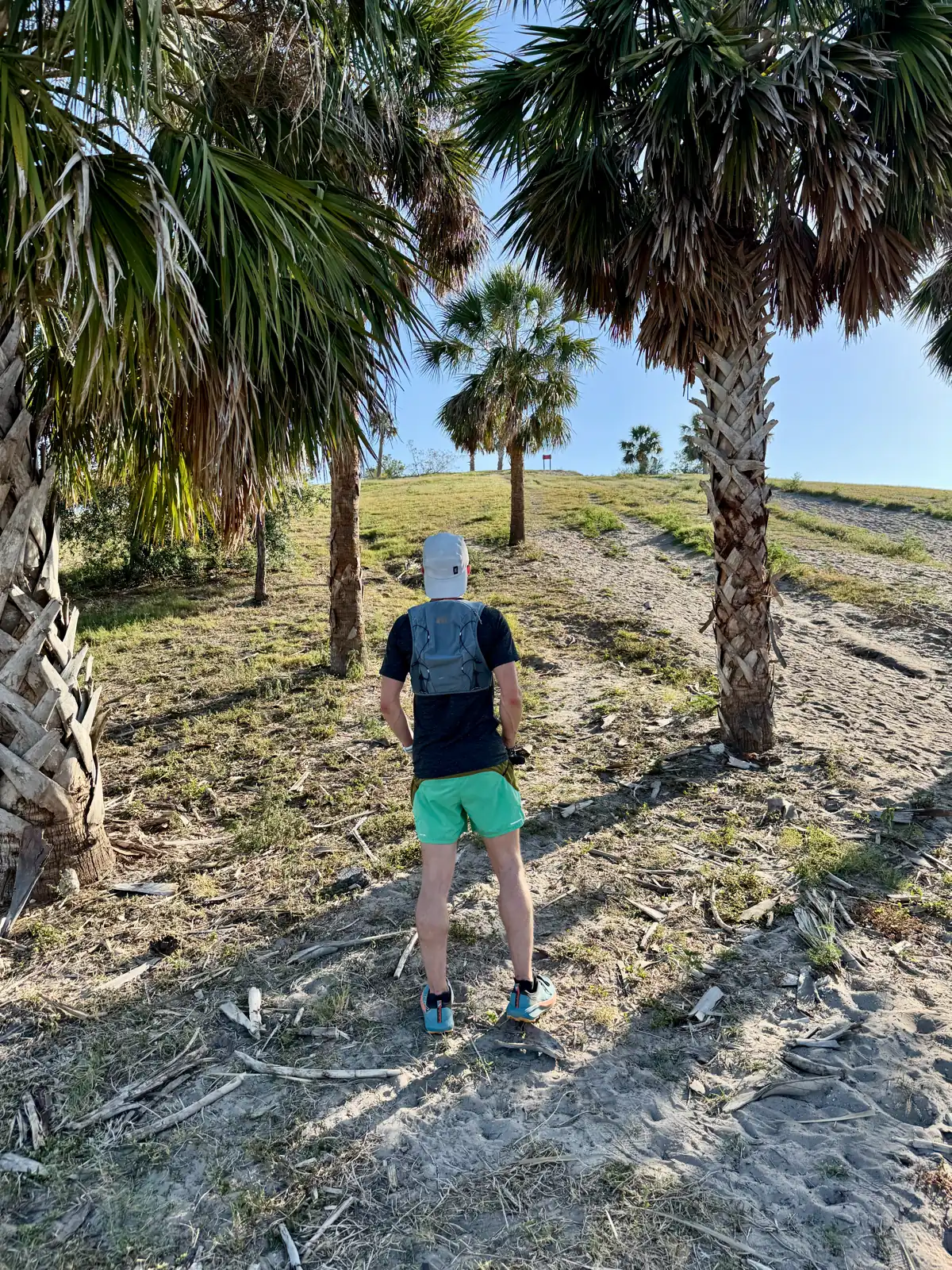 It's my hill rep day, and I'm coming for you hill!