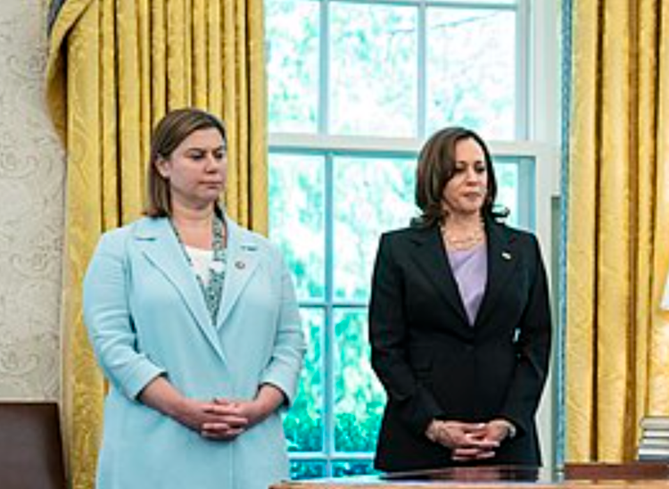 Please tell Elissa Slotkin she got 23,847 fewer votes in Michigan than Kamala Harris